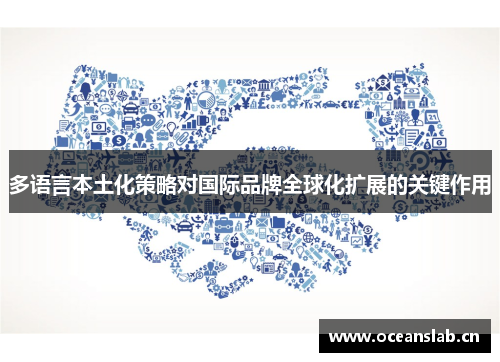 多语言本土化策略对国际品牌全球化扩展的关键作用