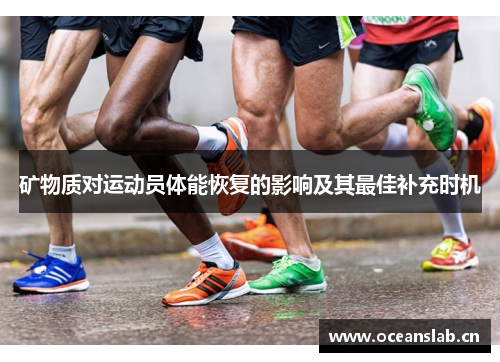 矿物质对运动员体能恢复的影响及其最佳补充时机
